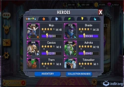 Age of Heroes: Conquest
