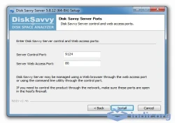 Disk Savvy Server
