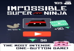 Impossible Super Ninja