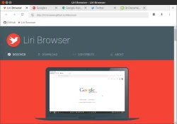 Liri Browser
