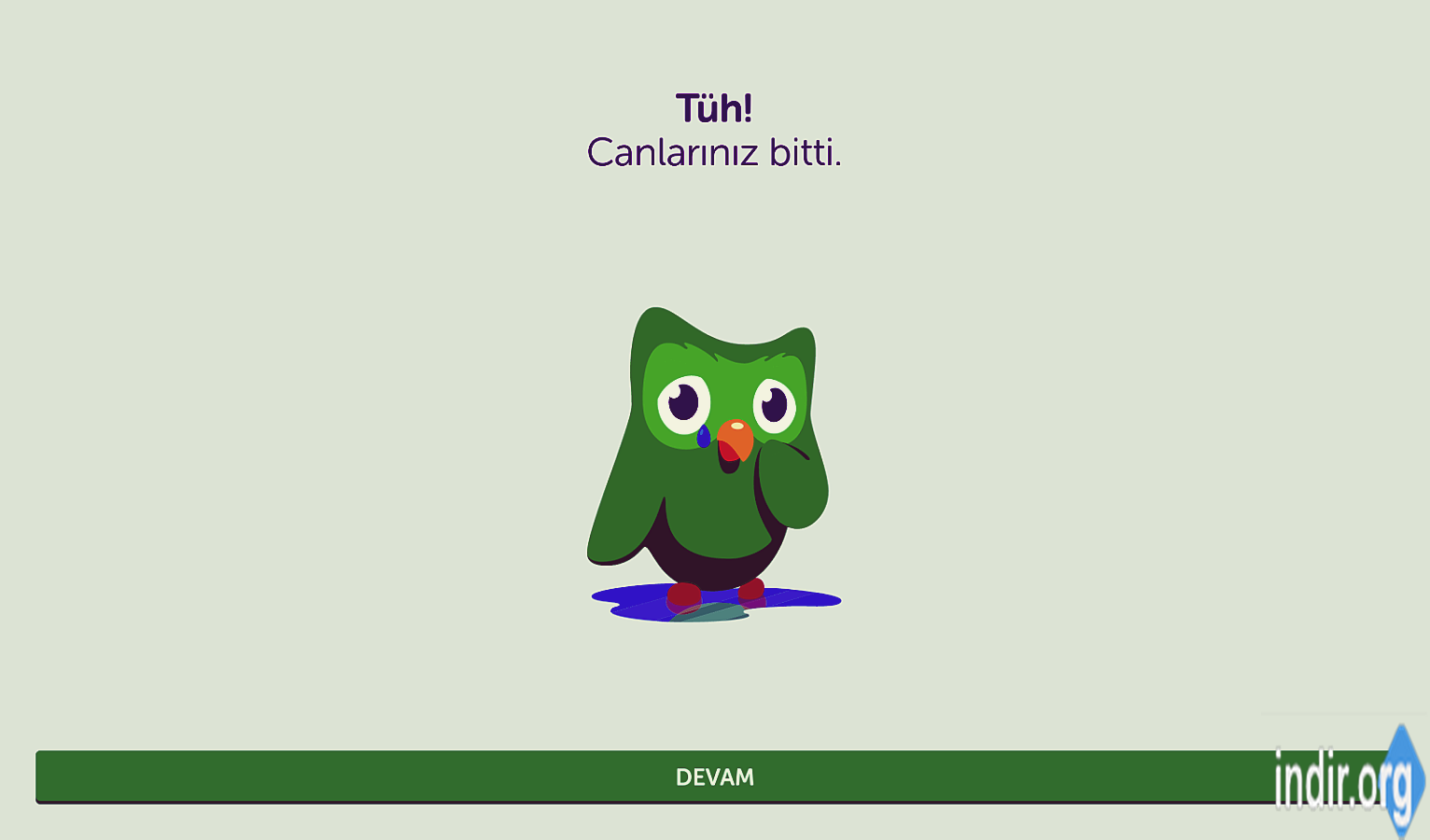 Pc için duolingo indir